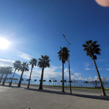 Haris, Vlore — photo 5