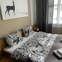 NewStory Apartments, Tikhvin — photo 2