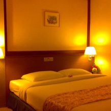 Chainat Thani Hotel, 猜纳 — 照片 3
