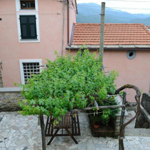 Casetta Cinque Terre, Беверино — фото 5