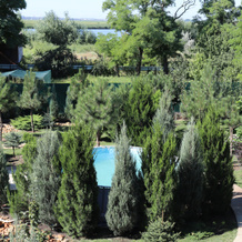 Shale Pinebrook Kruglogodichno Utopayuschiy V Zeleni S Sezonnym Basseynom Dlya Semeynogo Otdykha U Reki Don Private House, Azov — photo 2