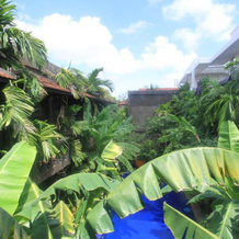 Retreat Condo, 暹粒 — 照片 5
