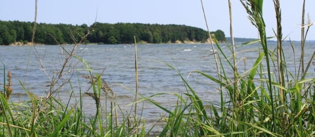 Reetdachhaus Weißdorn 1, 普德明 — 照片 1