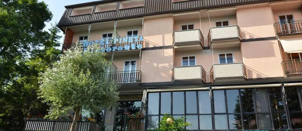 Hotel Pineta, 洛伊亚诺 — 照片 1