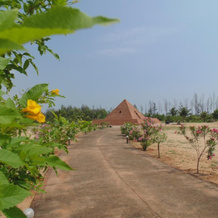 The Dune Eco Beach Village and Spa, 卡拉佩特 — 照片 2