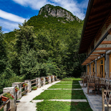 Agriturismo La Selvaggia, 曼代洛德拉里奥 — 照片 3