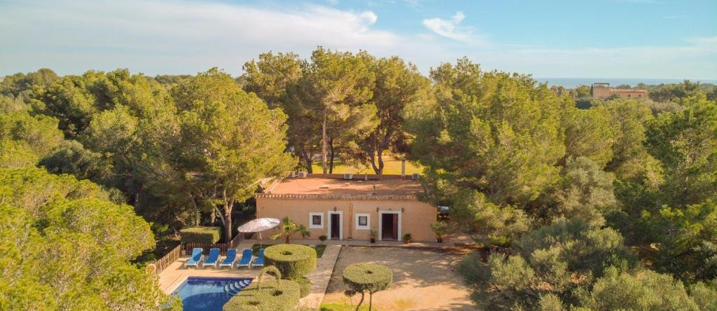 Finca Naveta, Феланич — фото 1