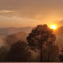 LEELA The Flavors of Nature, Solan — photo 3