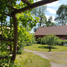 Hollerbusch Spreewald, 费乔 — 照片 5