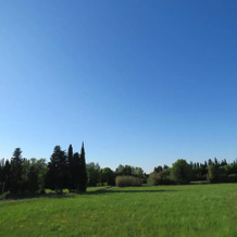 L'Oustau, Grans — photo 4
