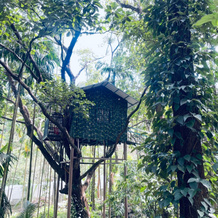 Treetop Resort, Melattoor — photo 5