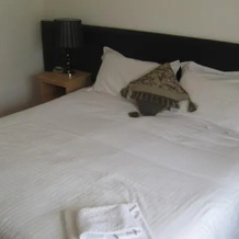 Bricin Lodge Self-Catering Accommodation, 基拉尼 — 照片 5