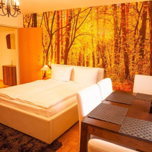 Apartment My Little Black Forest, Freiburg im Breisgau — photo 2