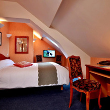 Logis Hôtel & Restaurant des Lacs, 塞勒-叙尔-普莱讷 — 照片 2