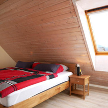 Ferienwohnung Obere Alm, Оберкирх — фото 3