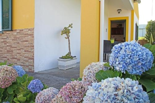 Casa da Boa Vista, 佩德罗米格尔 — 照片 1