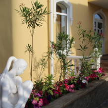 Dizajn-Villa MaSSandra, Massandra — photo 3