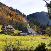 Gasthaus Zur Linde-Napf, Оберрид — фото 4