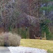 High March, Glenurquhart — photo 5