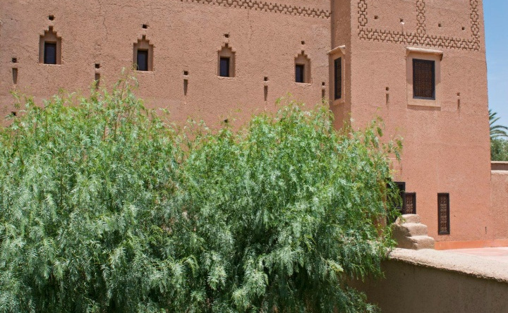 Dar Ahlam, Скоура — фото 1