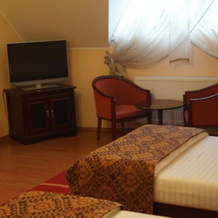 Pension La Cetate, Вынэторь Нямц — фото 3