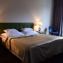 Carlsbad INN hotel & apartments, Dalovice — photo 5