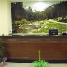 Hotel Ai Pini, Николози — фото 2