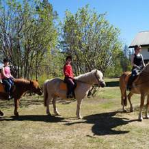 Heidin Mummola Farm, 佩洛 — 照片 3