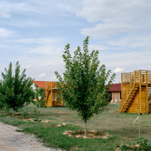 База Отдыха Наша Фазенда, Образцово-Травино — фото 5