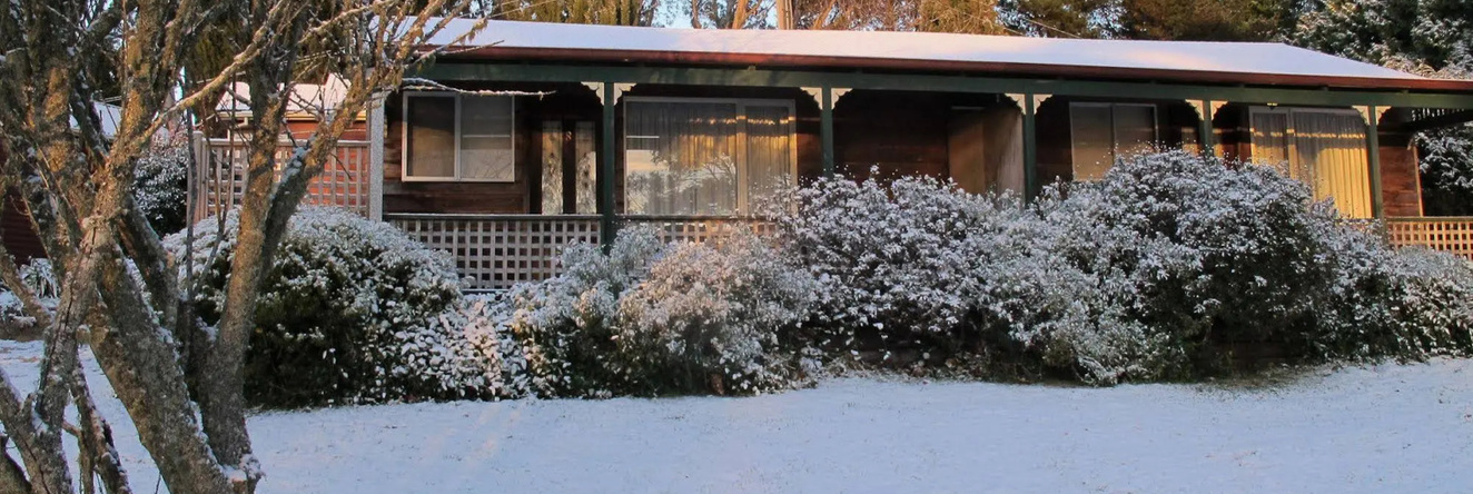 Cedar Lodge Cabins, 维多利亚山 — 照片 1
