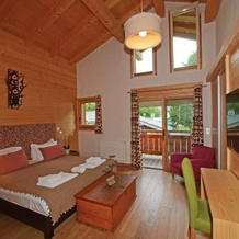 Chalet Isabelle, Шамони-Монблан — фото 2