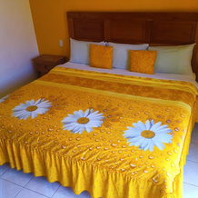 Hotel y Cabañas Alan Prince, 奇格纳瓦潘 — 照片 4