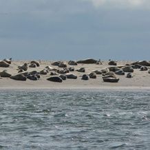 Fanø bad Ferielejligheder, Fano — photo 4