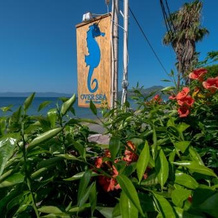 Over Sea Rooms & Villas, Edipsos — photo 2