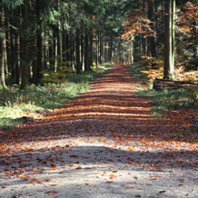 Zum Hirschen Landgasthof, Wittnau — photo 3