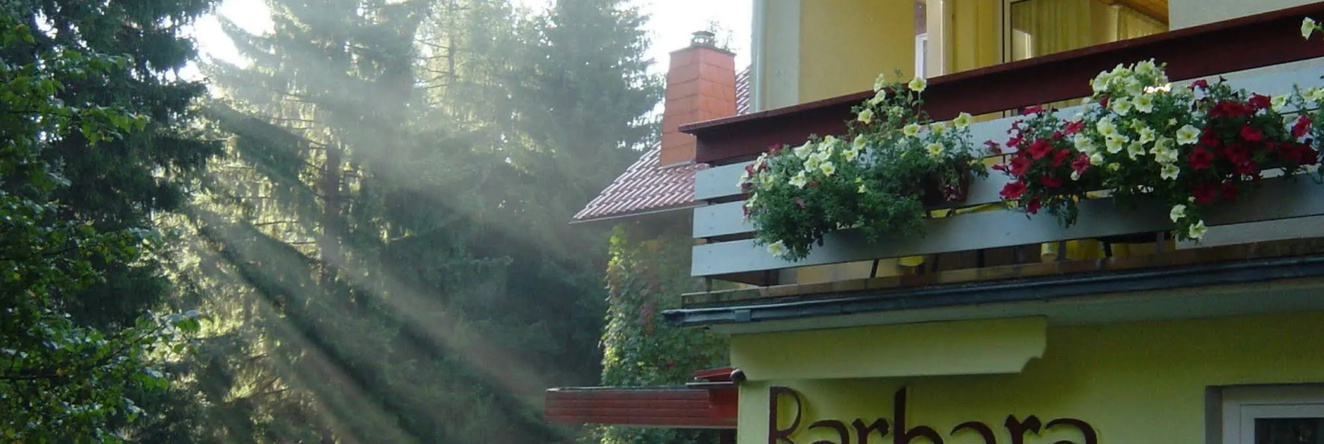Barbara, Warmensteinach — photo 1