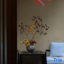 Kunming Qianxun Mowen Hot Spring SPA Hotel, 昆明 — 照片 2