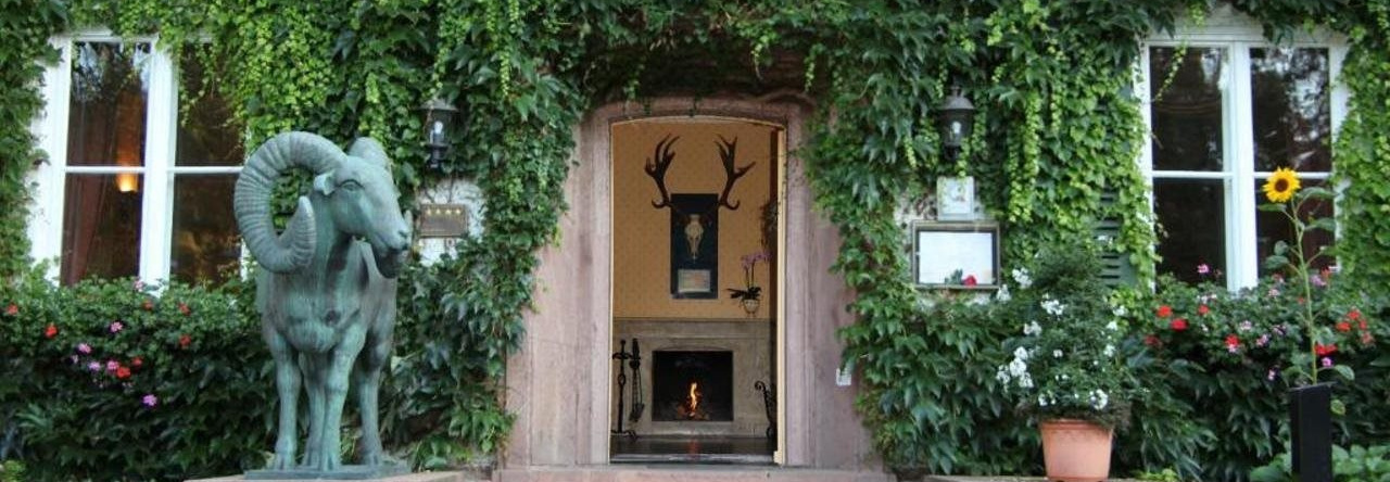 Hotel Döllnsee-Schorfheide, 肖夫海德-科林生物圈保护区 — 照片 1