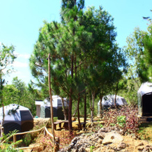 Bukit Lintang Sewu Domping, Muntuk — photo 4