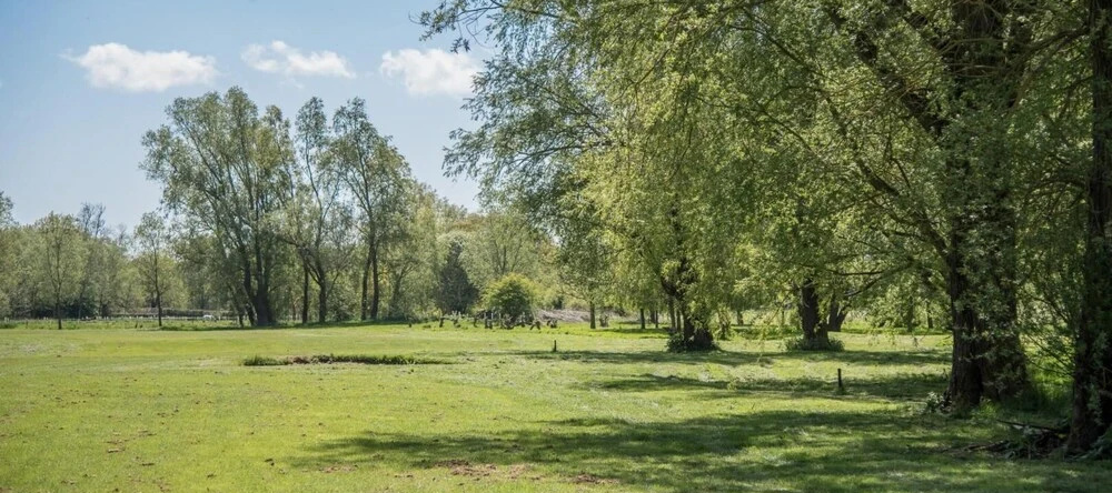 Laurel Lodge Kingfishers, Эрл-Сохем — фото 1
