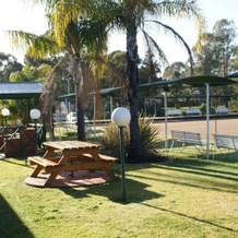 Deniliquin Country Club Motor Inn, 德尼利昆 — 照片 5