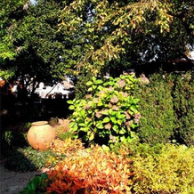 Le Camelie, Brissago-Valtravaglia — photo 4