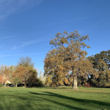 Le Cottage du Manoir de Bois-en-Ardres, 阿尔德尔 — 照片 5