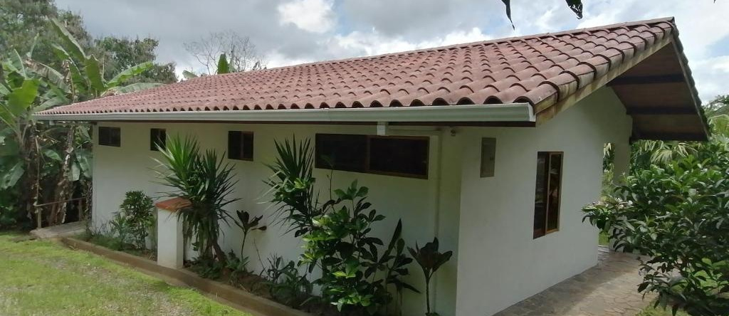 La Ceiba Tree Lodge, 蒂拉兰 — 照片 1