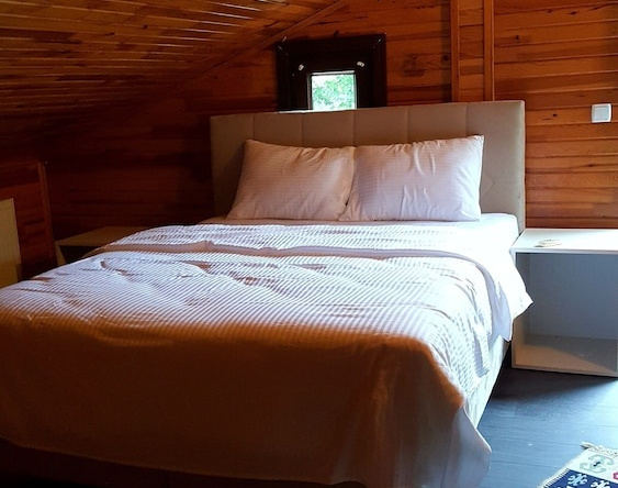 Roof Garten Hotel, 波洛内兹柯伊 — 照片 1