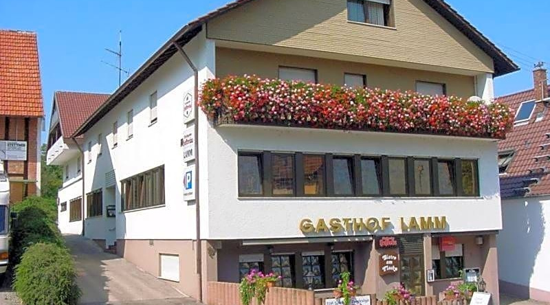 Hotel Lamm, Hegnach — photo 1
