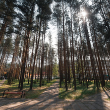 Zolotoj Kolos Health Resort, Yaroslavl — photo 2