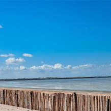 Logis Hotel Le Rivage, Saujon — photo 4