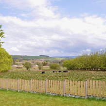 Glennydd, Lledrod — photo 4