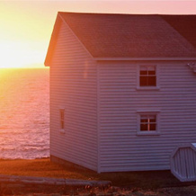 The Old Salt Box Co. - Grandma Lilly's, Фого — фото 5